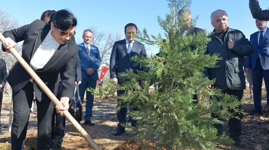 Krıklaereli&rsquo;de Polis Hatıra Ormanı&rsquo;na 250 Fidan Dikildi