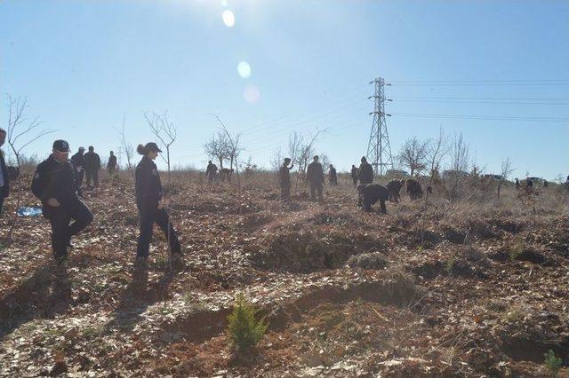 Krıklaereli’de Polis Hatıra Ormanı’na 250 Fidan Dikildi
