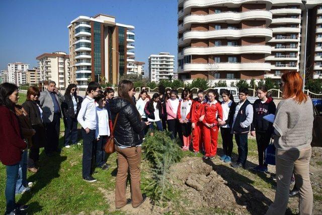 Öğrenciler Harçlıklarıyla Aldıkları Fidanları Toprakla Buluşturdu