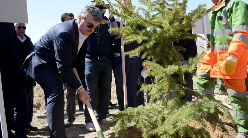 5 Milyon Fidan Toprakla Buluştu