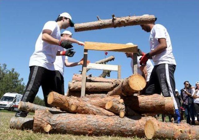 Orman Olimpiyatları'nda Renkli Görüntüler