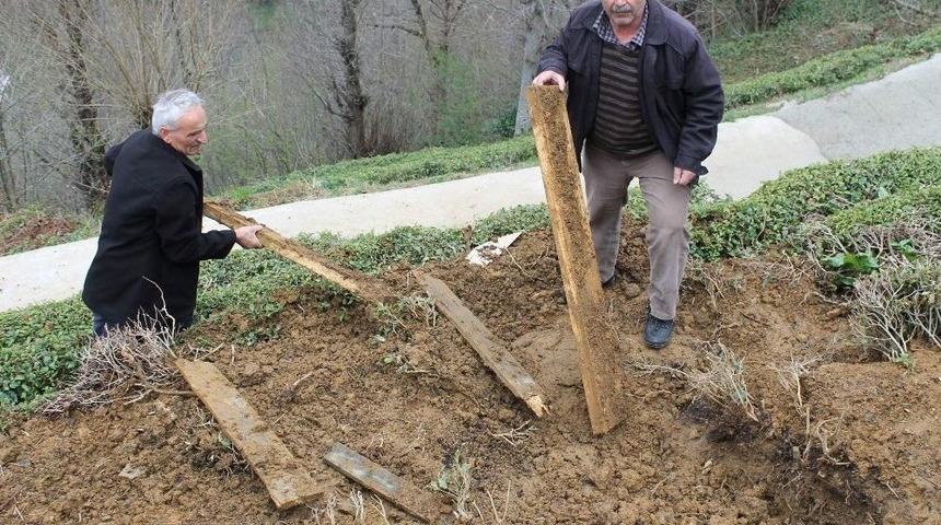 Mezarlıkta Ayı N&ouml;beti
