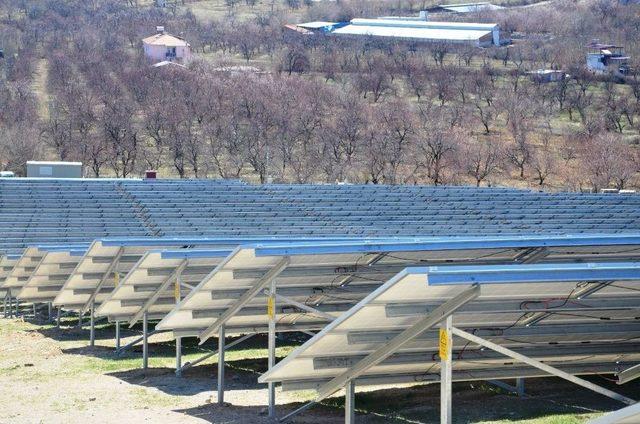 Kayısı Bahçeleri Güneş Enerji Tarlaları İçin Kiraya Veriliyor