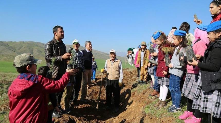 Kahramanmaraş&rsquo;ta 250 Bin Fidan Toprakla Buluşacak