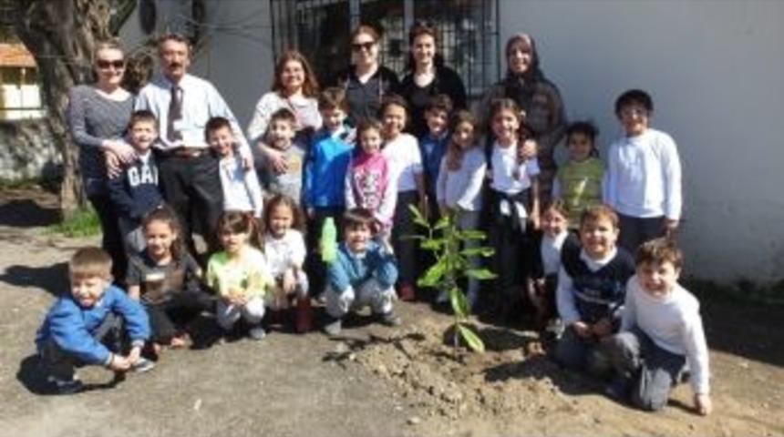 Burhaniye&rsquo;de Minikler Velileriyle Birlikte Ağa&ccedil; Dikti