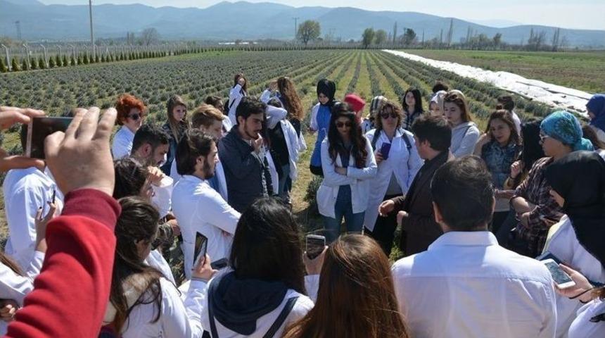 K&ouml;rfezin &Uuml;niversiteli Aktarlarından, Burhaniye &Ccedil;ift&ccedil;i Eğitim Merkezi&rsquo;ne Teknik Gezi