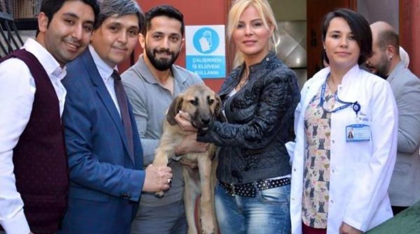 Kanlı Ishali Atlatan Kuyu, Ha&ccedil;iko'ya Teslim Edildi