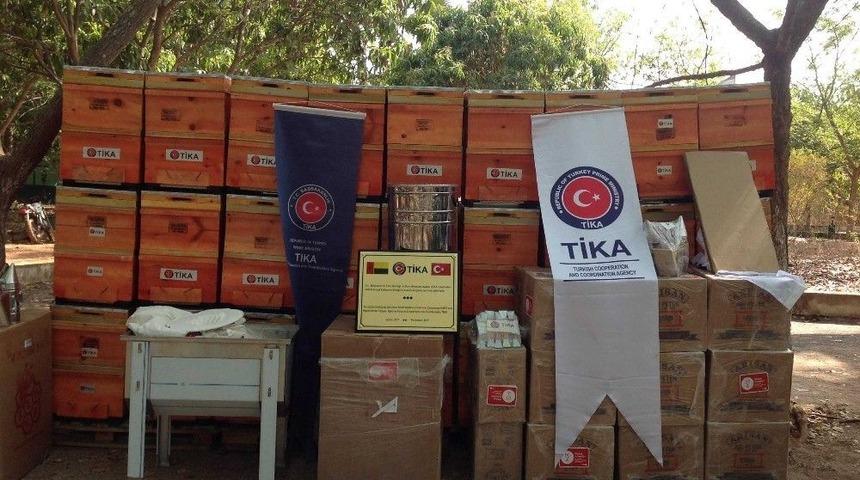 Tika&rsquo;dan Gine Bissau&rsquo;ya Arıcılık Sekt&ouml;r&uuml;n&uuml;n Gelişmesi İ&ccedil;in Destek