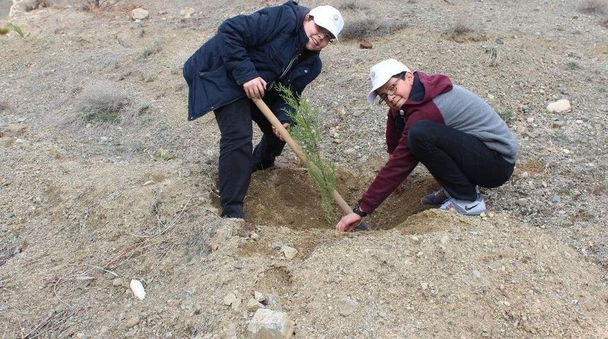 &Ouml;ğrenciler Y&uuml;zlerce Fidanı Toprakla Buluşturdu