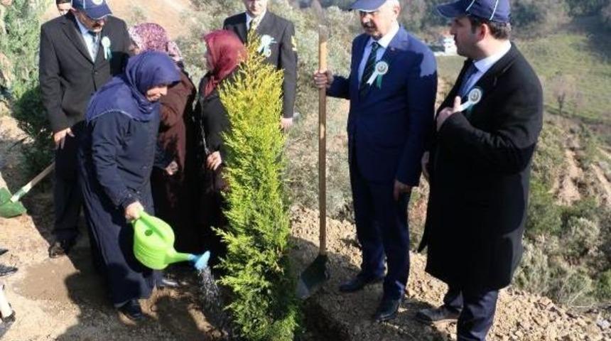 Ereğli'de '15 Temmuz Şehitleri Hatıra Ormanı' Oluşturuldu