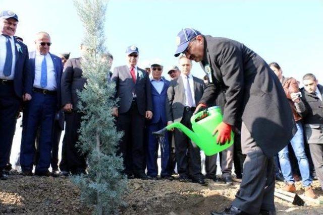 Ereğli'de '15 Temmuz Şehitleri Hatıra Ormanı' Oluşturuldu