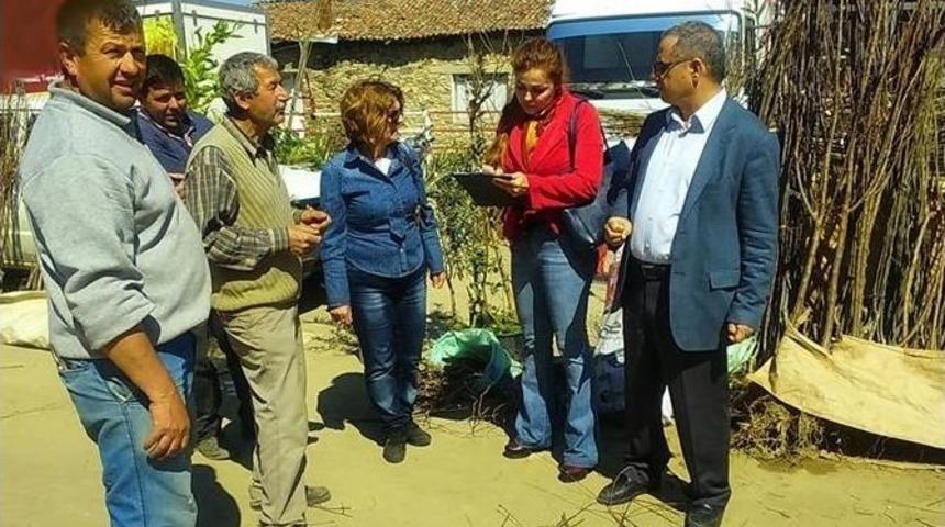 Ka&ccedil;ak Fidan Ve Tohum Satana Af Yok