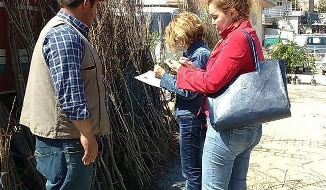 Kaçak Fidan Ve Tohum Satana Af Yok