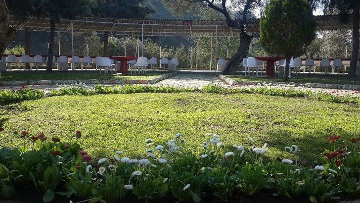 Çayyüzü Şehitliği Bakıma Alındı G1