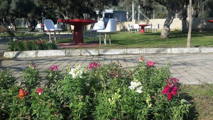 Çayyüzü Şehitliği Bakıma Alındı G5