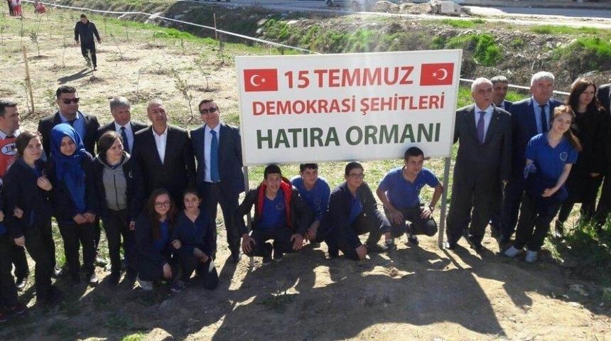 15 Temmuz Şehitleri İ&ccedil;in Hatıra Ormanı
