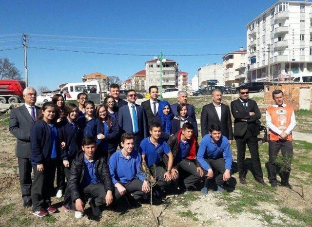 15 Temmuz Şehitleri İçin Hatıra Ormanı