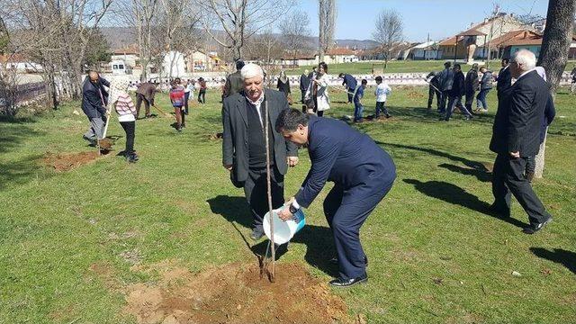 Pazaryeri’nde Orman Haftası Fidan Dikilerek Kutlanıldı