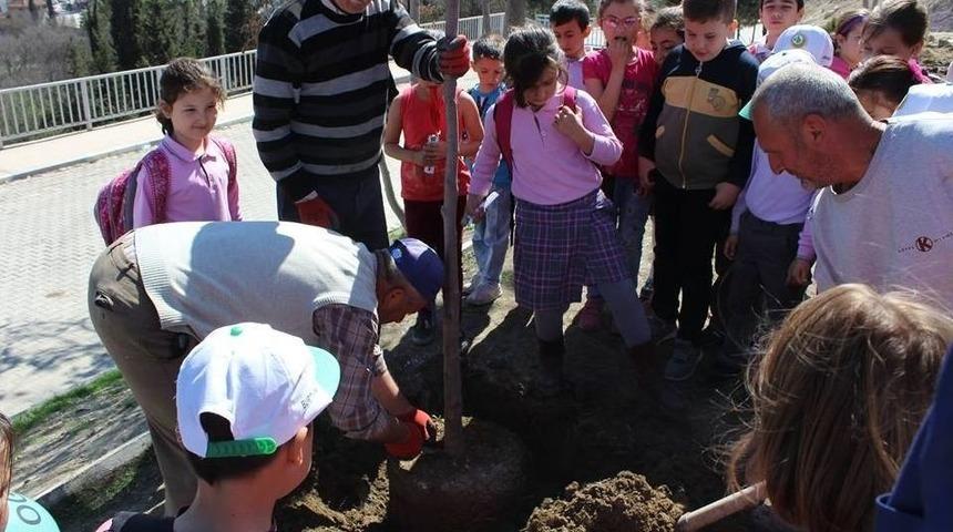 Orman Haftası Vezirhan&rsquo;da Ağa&ccedil; Dikilerek Kutlandı
