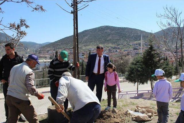 Orman Haftası Vezirhan’da Ağaç Dikilerek Kutlandı