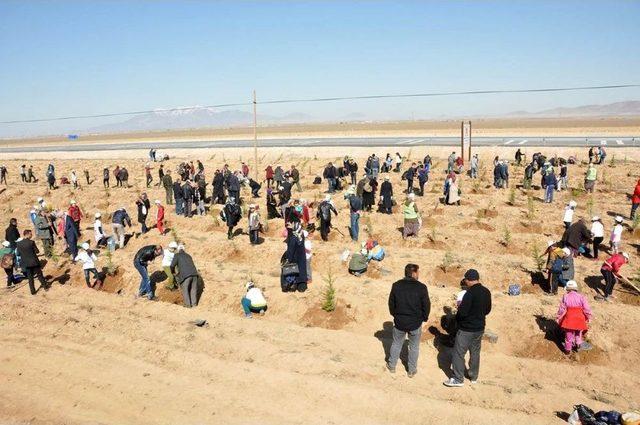 Şehitlerin İsimleri 15 Temmuz Hatıra Ormanında Yaşatılacak