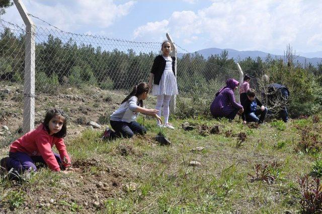 Öğrenciler Ağaç Müzesi’ne Fidan Dikti