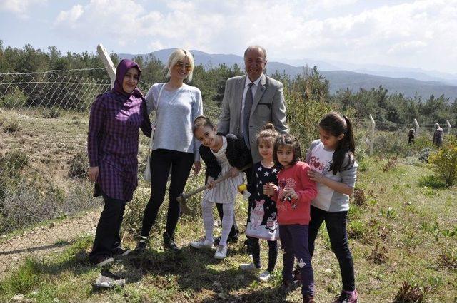 Öğrenciler Ağaç Müzesi’ne Fidan Dikti