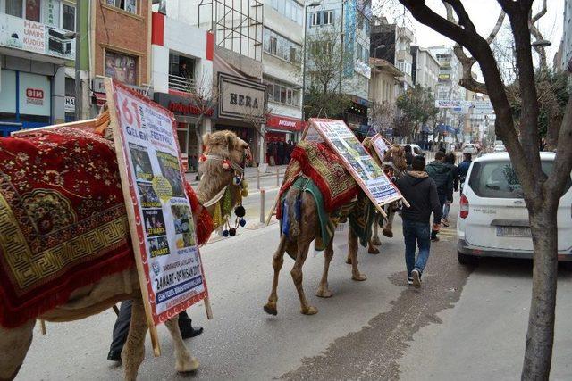 Bandırmalılar Sabaha Develerle Uyandı