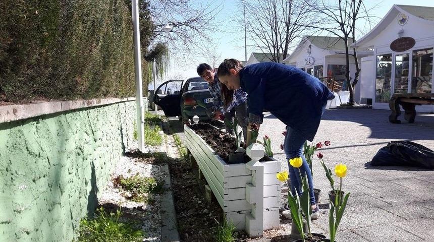 Sapanca Sanat Sokağına &Ouml;ğrenciler Lale Dikti