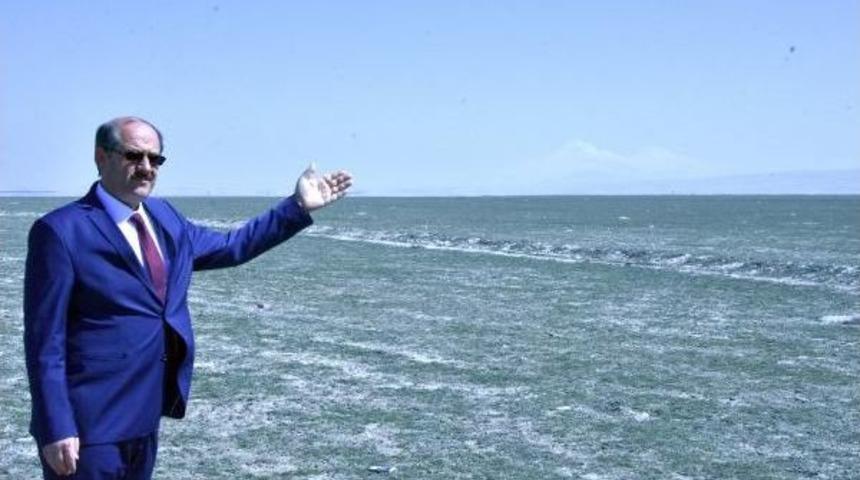 Karapınar, T&uuml;rkiye'nin G&uuml;neş Enerjisi &Uuml;retim &Uuml;ss&uuml; Oluyor