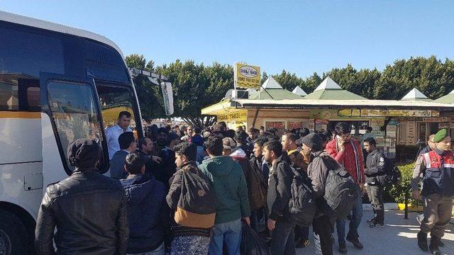 Manavgat’ta Yakalanan 172 Göçmen İstanbul’a Gönderildi