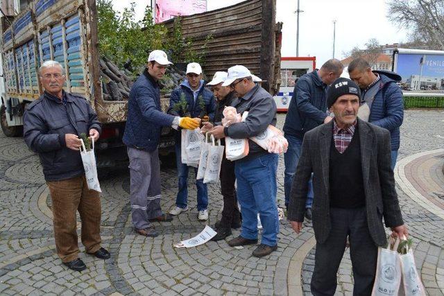 Orman İşletme’den Vatandaşlara Fidan Dağıtımı