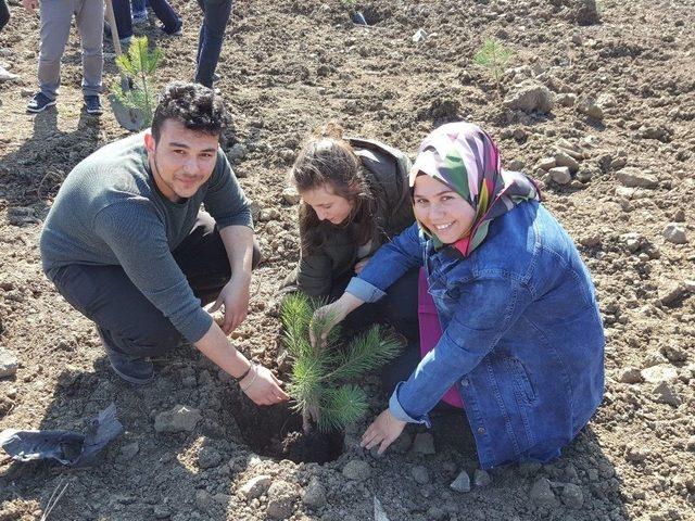 Öğrencilerden Çevre Duyarlılığına Yönelik Örnek Çalışma