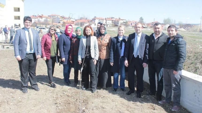 &Ouml;ğrenciler Fidan Dikti