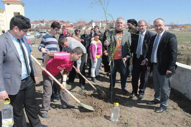 Öğrenciler Fidan Dikti