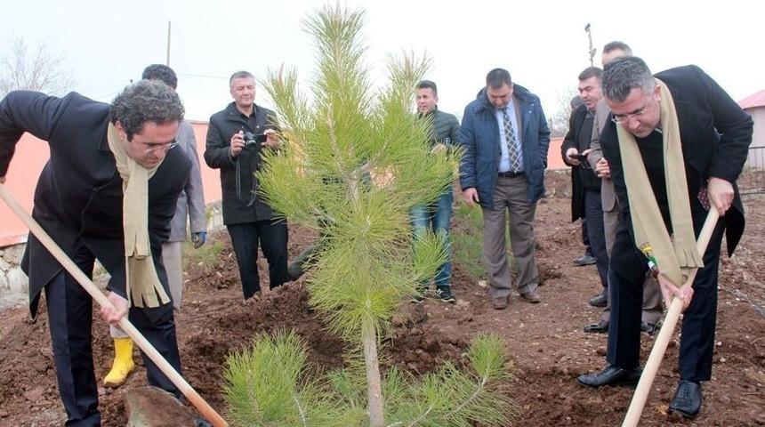 21 Mart D&uuml;nya Ormancılık G&uuml;n&uuml; Ve Orman Haftası