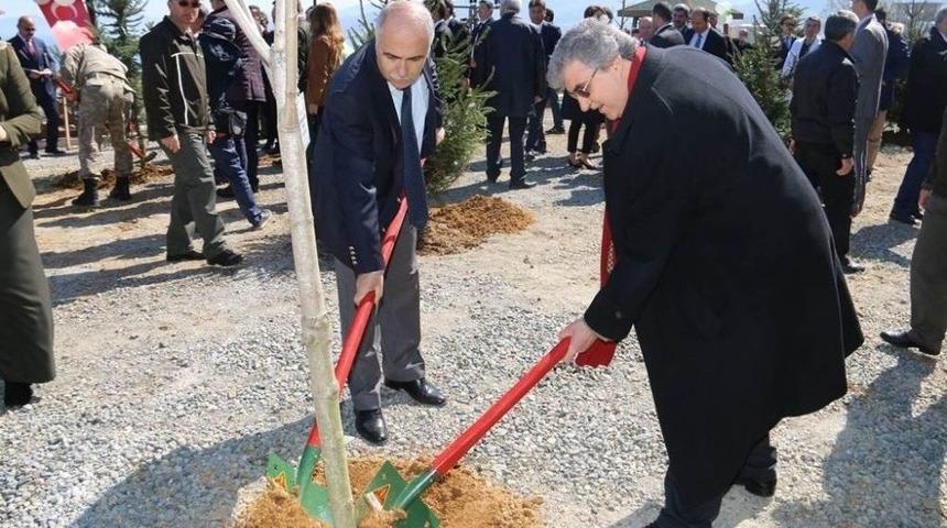 Giresun&rsquo;da Orman Haftası Etkinlikleri
