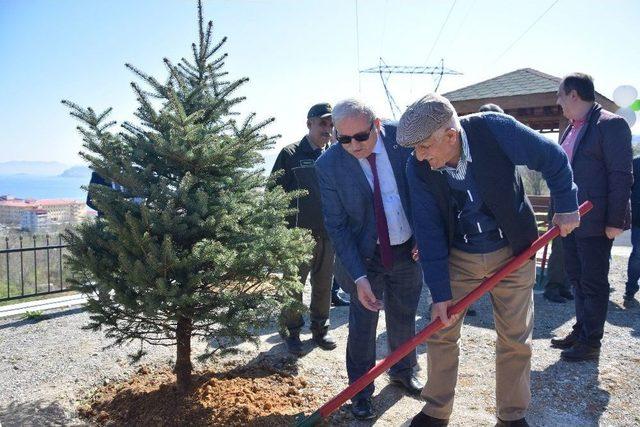 Giresun’da Orman Haftası Etkinlikleri