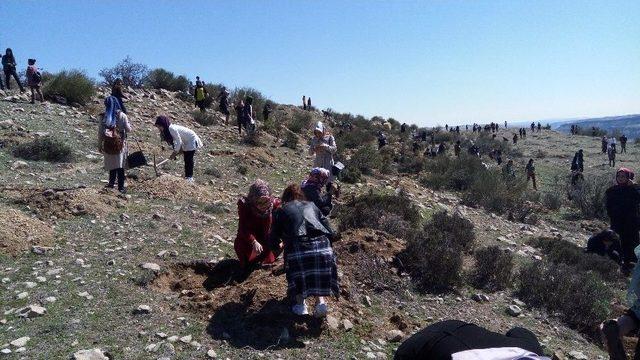 Yurt Öğrencileri 15 Temmuz Şehitlerinin İsimlerini Fidanlarda Yaşatacak