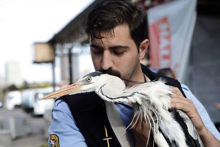 Yaralı Gri Balıkçılı İtfaiye Kurtardı G5