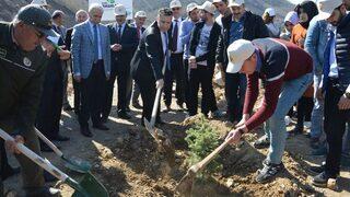 Niksar’da Öğrenciler Fidan Dikti