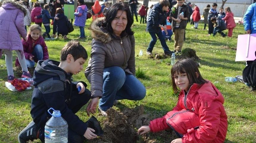 Küçüklerin Fidan Sevinci