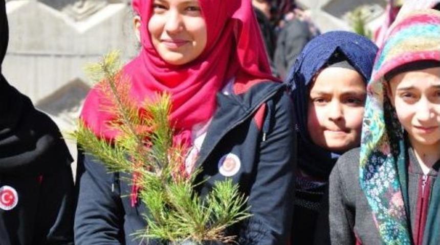 &Ouml;ğrenciler İstanbul&rsquo;un Fethi Anısına 1453 Fidan Dikti