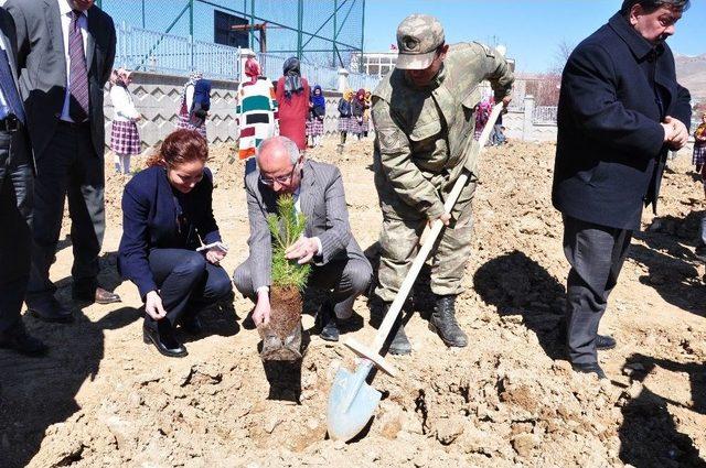 Öğrenciler İstanbul’un Fethi Anısına 1453 Fidan Dikti