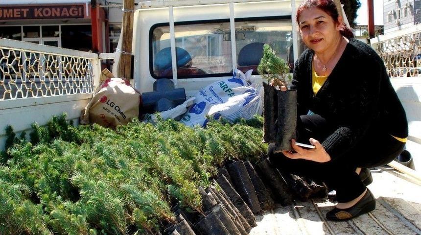 Ak Parti&rsquo;li Kadınlar Hem Fidan Dağıttı Hem Broş&uuml;r