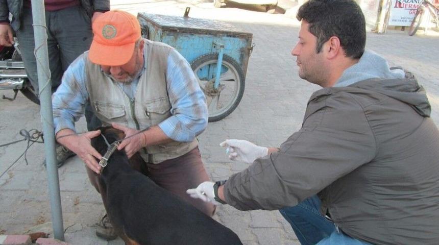Biga&rsquo;da Av K&ouml;pekleri Aşılandı