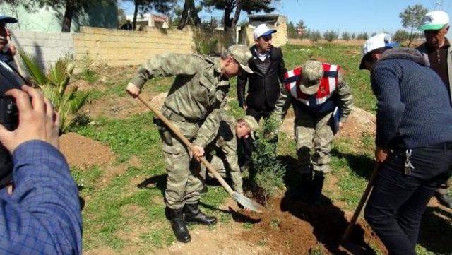 Suriye Sınırında Yoğun Önlemli Fidan Dikim Töreni