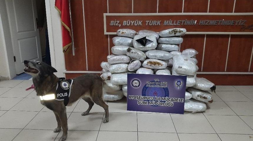 Uşak&rsquo;ta Tırın Yakıt Deposunda 210 Kilo Esrar Ele Ge&ccedil;irildi