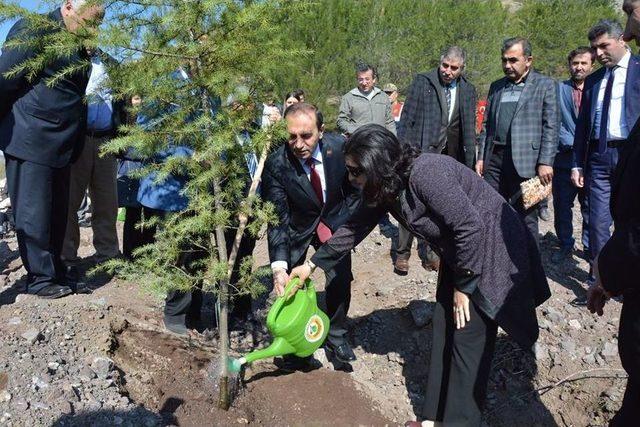 Şehitlerin Hatıraları Ormanda Yeşerecek