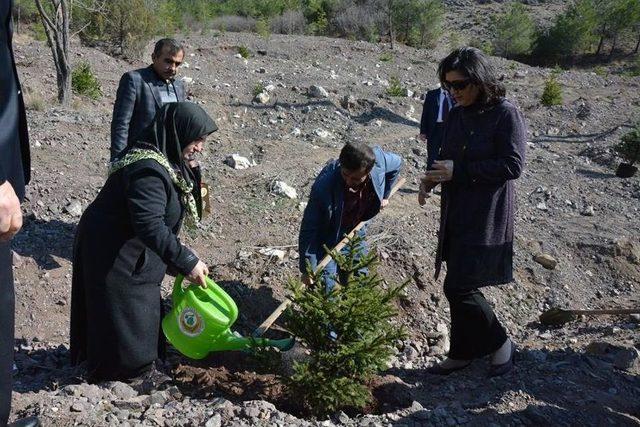 Şehitlerin Hatıraları Ormanda Yeşerecek